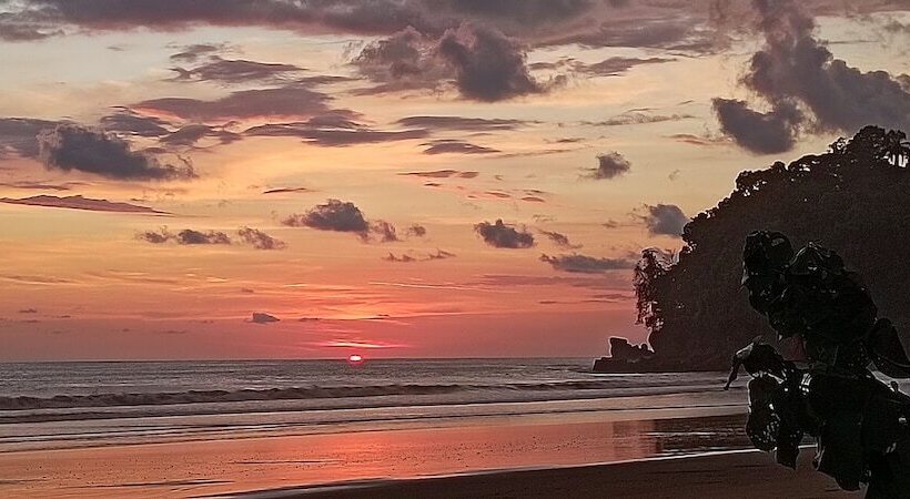 Flutterby House Hostel