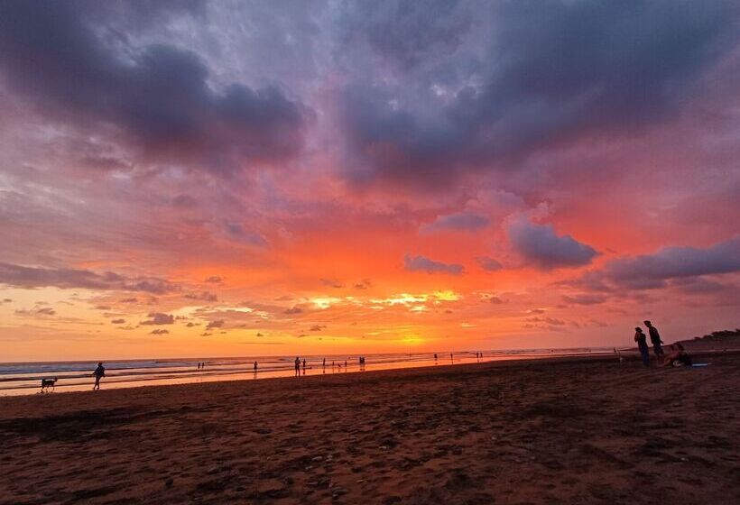 Flutterby House Hostel