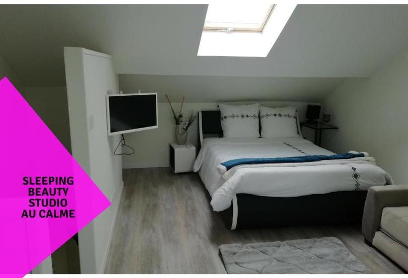 Cosy Studios La Gambeta