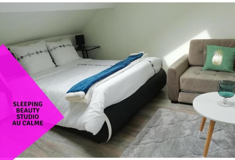 Cosy Studios La Gambeta