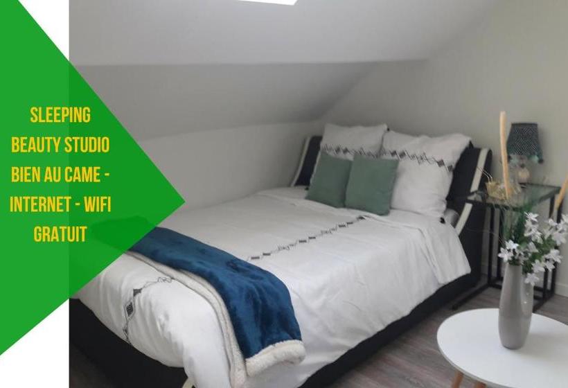 Cosy Studios La Gambeta