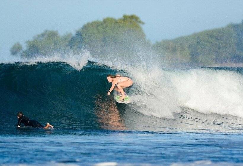 Harrington Guest House