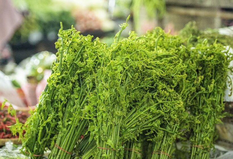 מוטל Pertama Lodge