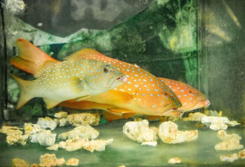 מוטל Pertama Lodge