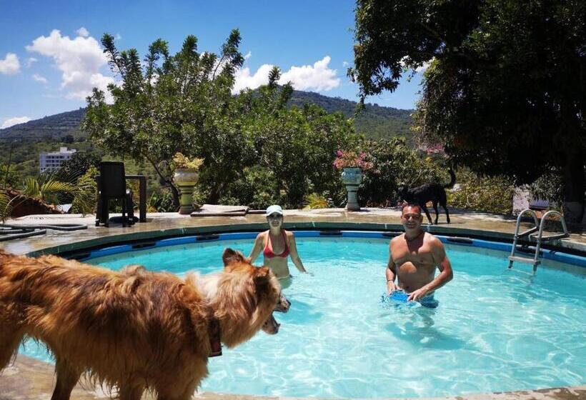 פנסיון Green Door San Gil