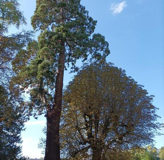 بنسيون Manoir De Bolbec