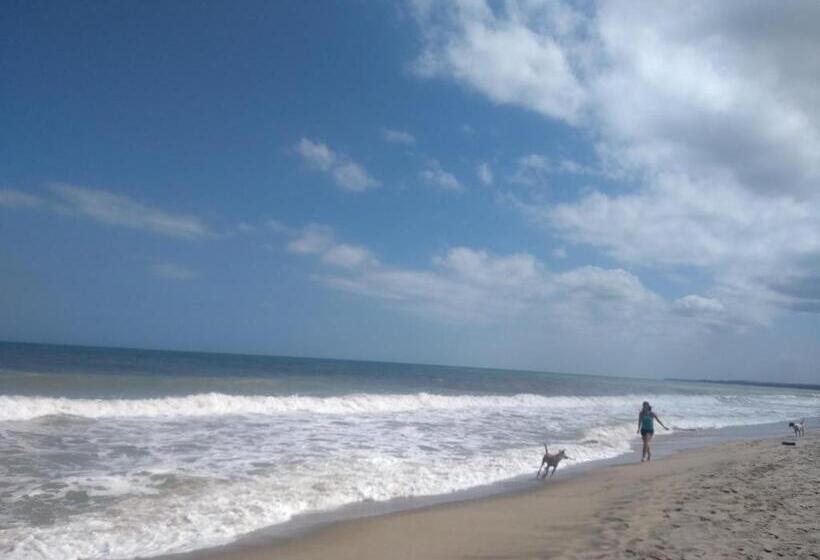 بنسيون Palomino  Hostel Balneario Rio Ancho