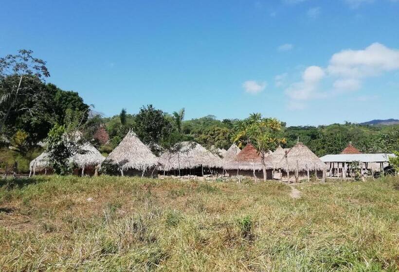 پانسیون Palomino  Hostel Balneario Rio Ancho