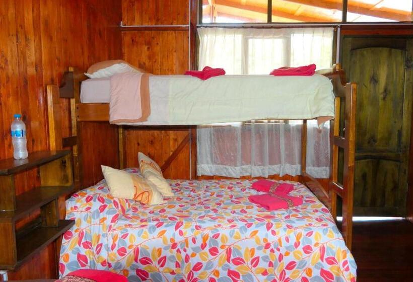 Albergue Mindoxtrem Birds