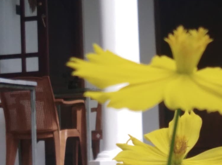 צימר Field Island Villa  Ahangama