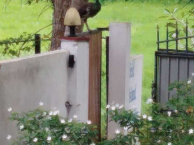 צימר Field Island Villa  Ahangama