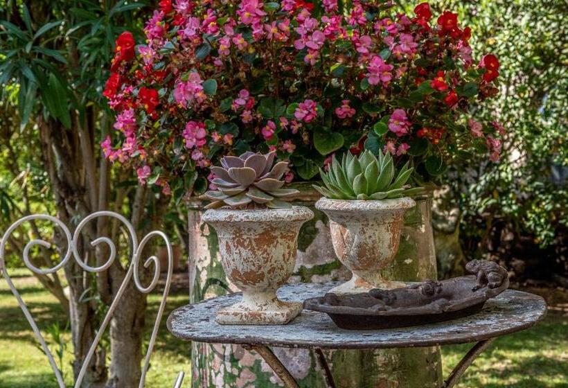 مبيت وإفطار Mas D Escattes