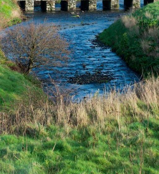 مبيت وإفطار Sheedy's Doolin