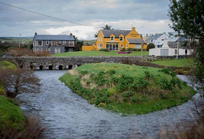 مبيت وإفطار Sheedy's Doolin