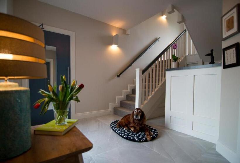 مبيت وإفطار Sheedy's Doolin