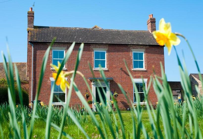 Broome Park Farm B&b