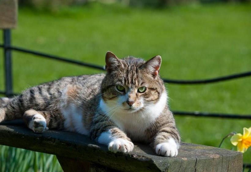 Broome Park Farm B&b