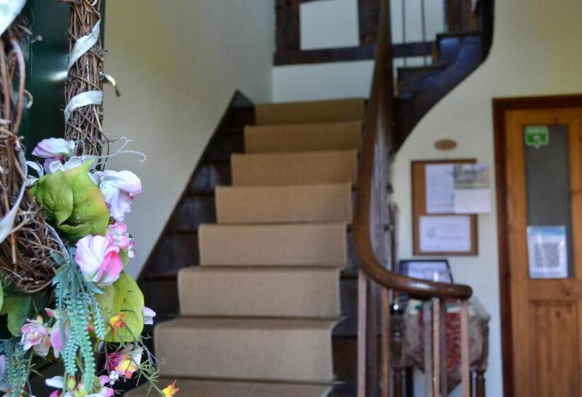 Broome Park Farm B&b