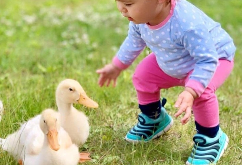 فندق Margo S Garden Farmstay, Kiroro