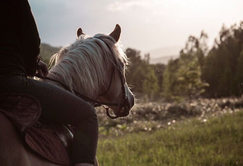 فندق Margo S Garden Farmstay, Kiroro