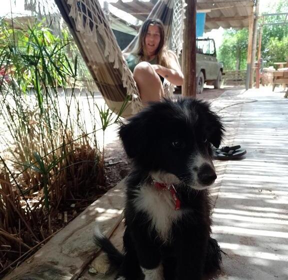 هاستل Hospedaje Familiar Raza Mistica