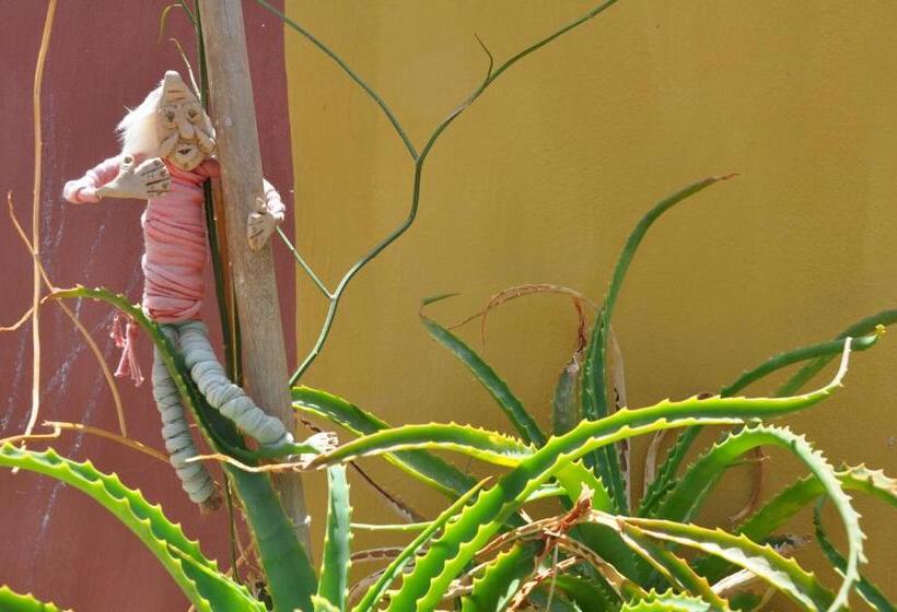 هاستل Hospedaje Familiar Raza Mistica