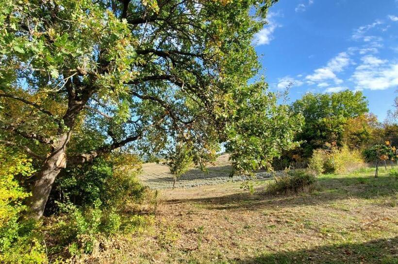 צימר La Volpaia 1521