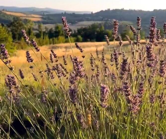 צימר La Volpaia 1521