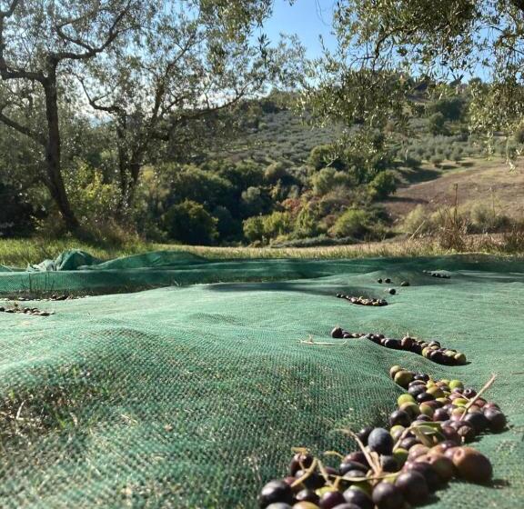 בית מלון כפרי Agriturismo Portoreschi