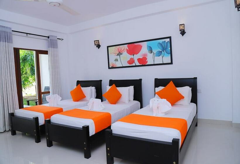 Отель Dambulla Villa
