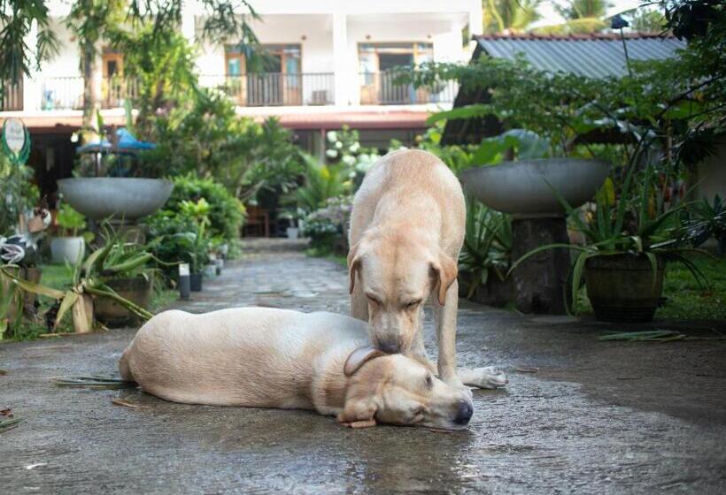 Отель Garden Villa Talalla
