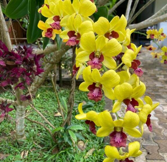 Отель Garden Villa Talalla