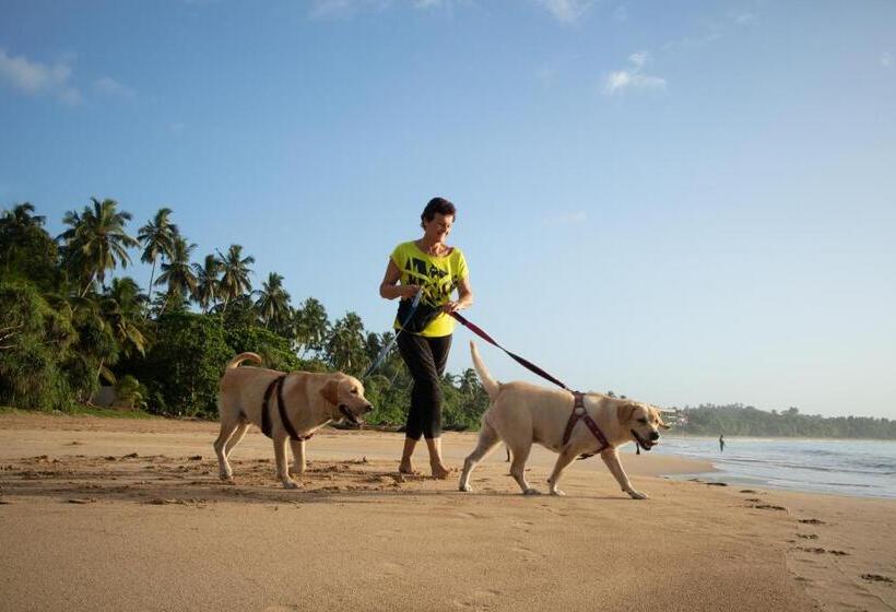 Отель Garden Villa Talalla