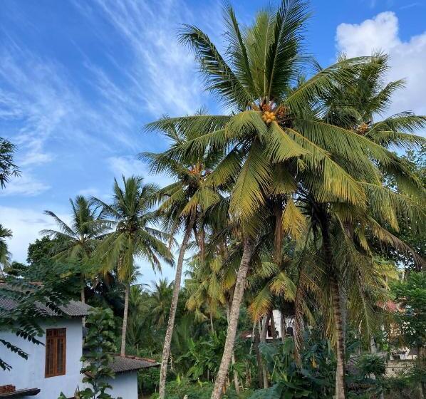 Отель Garden Villa Talalla