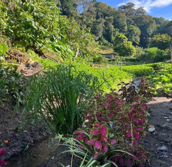 ペンション Bambito´s Café & Hostel