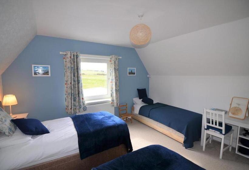 Aurora Bed & Breakfast