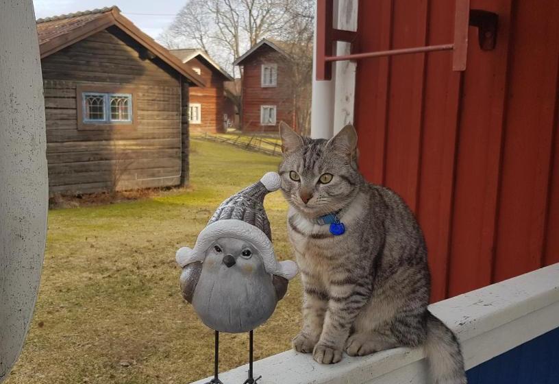 B&b Parkgården Leksand