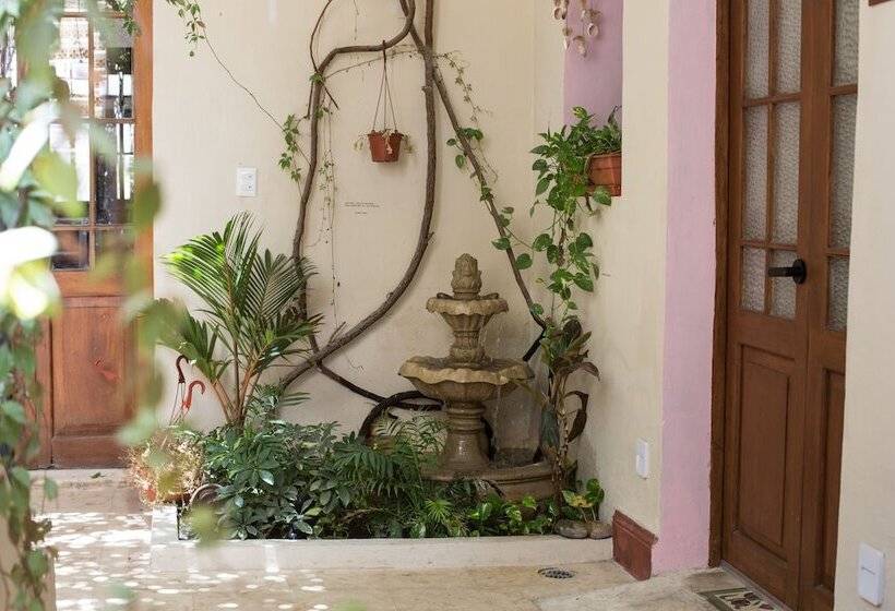 تختخواب و صبحانه Kuka Y Naranjo