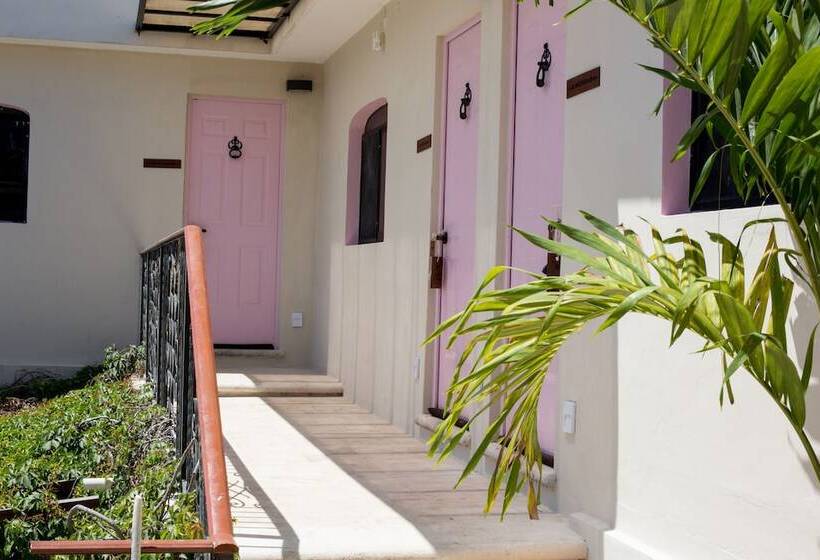 تختخواب و صبحانه Kuka Y Naranjo