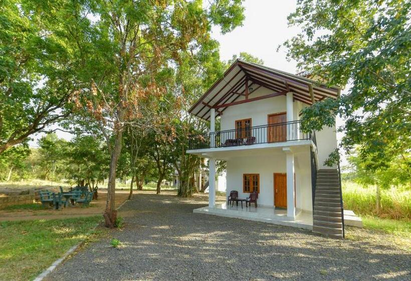 酒店 Andarawewa Nature Resort