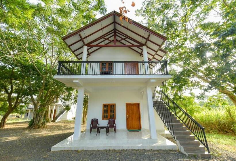 酒店 Andarawewa Nature Resort