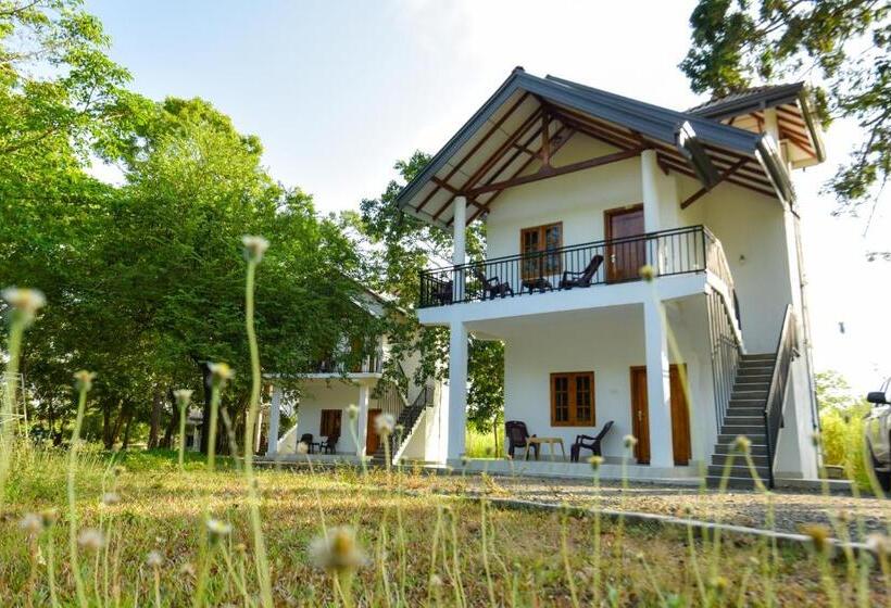 酒店 Andarawewa Nature Resort