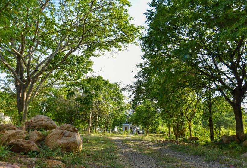 酒店 Andarawewa Nature Resort