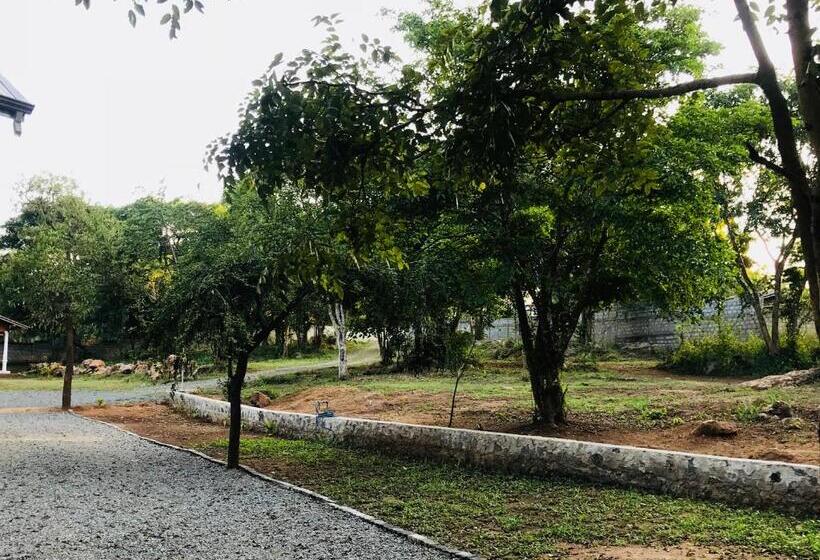 酒店 Andarawewa Nature Resort