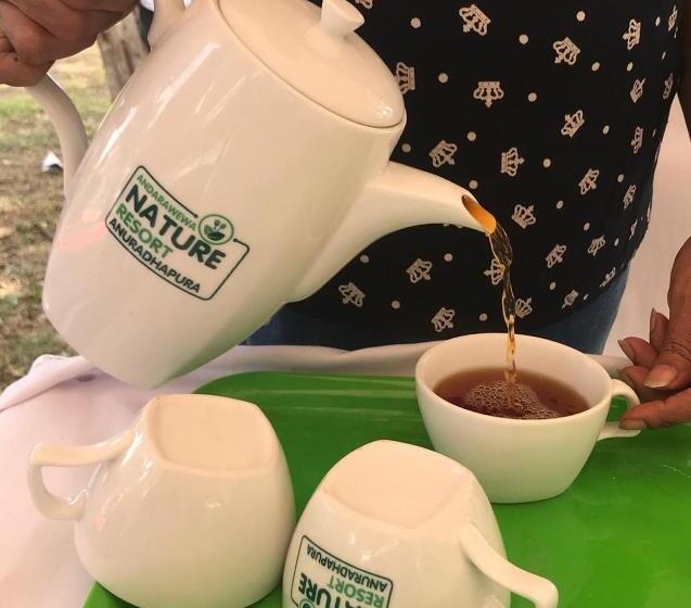 酒店 Andarawewa Nature Resort