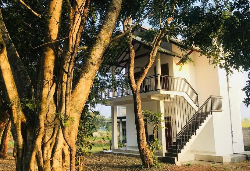 酒店 Andarawewa Nature Resort