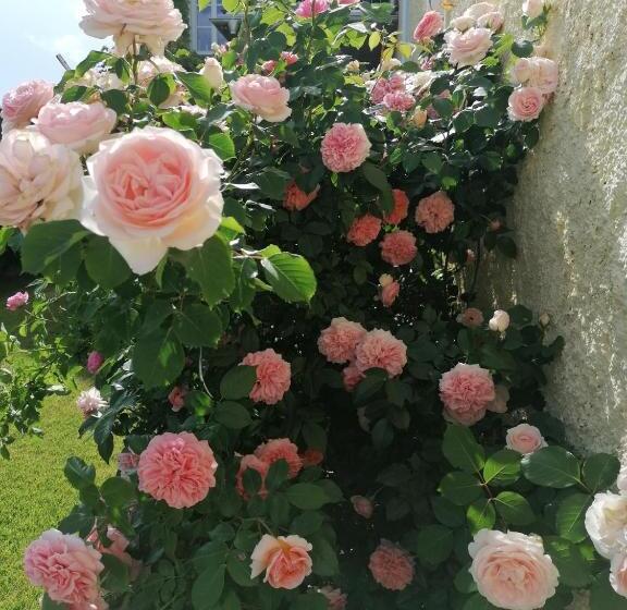 בית מלון כפרי Die Residenz