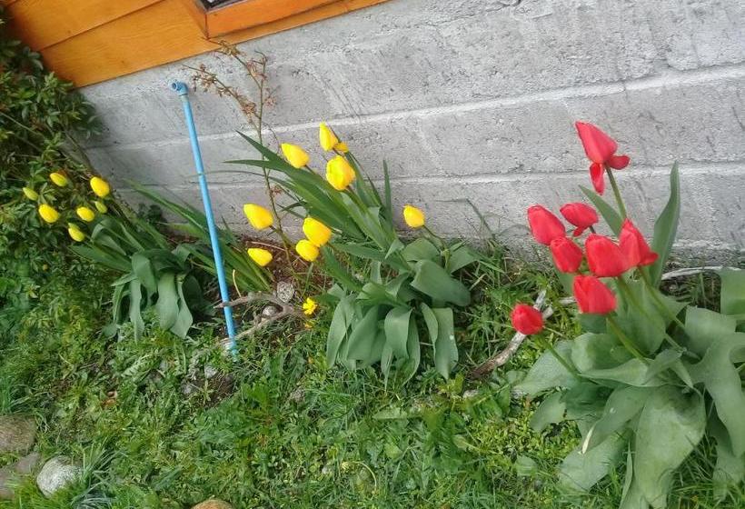 Пансион Hostal Y Cabañas Perla Del Lago