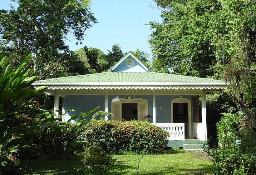 فندق صغير Playa Negra Guesthouse