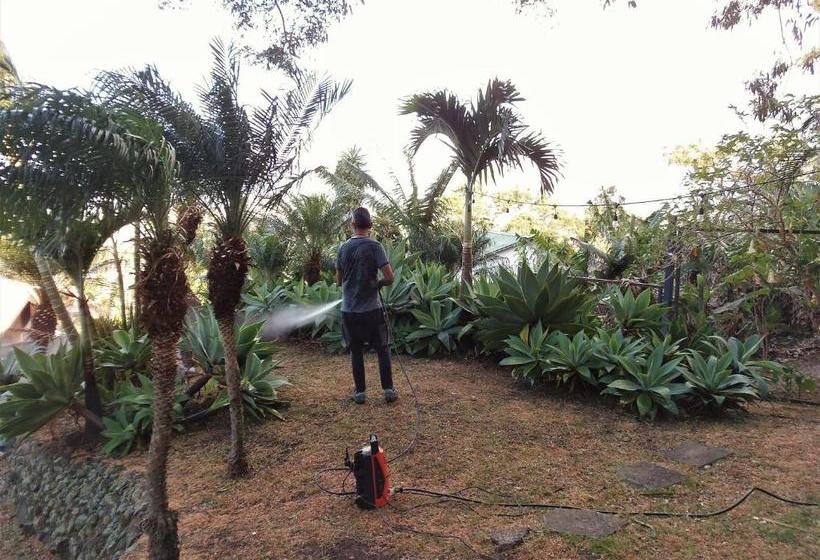 민박 Salamandra Room